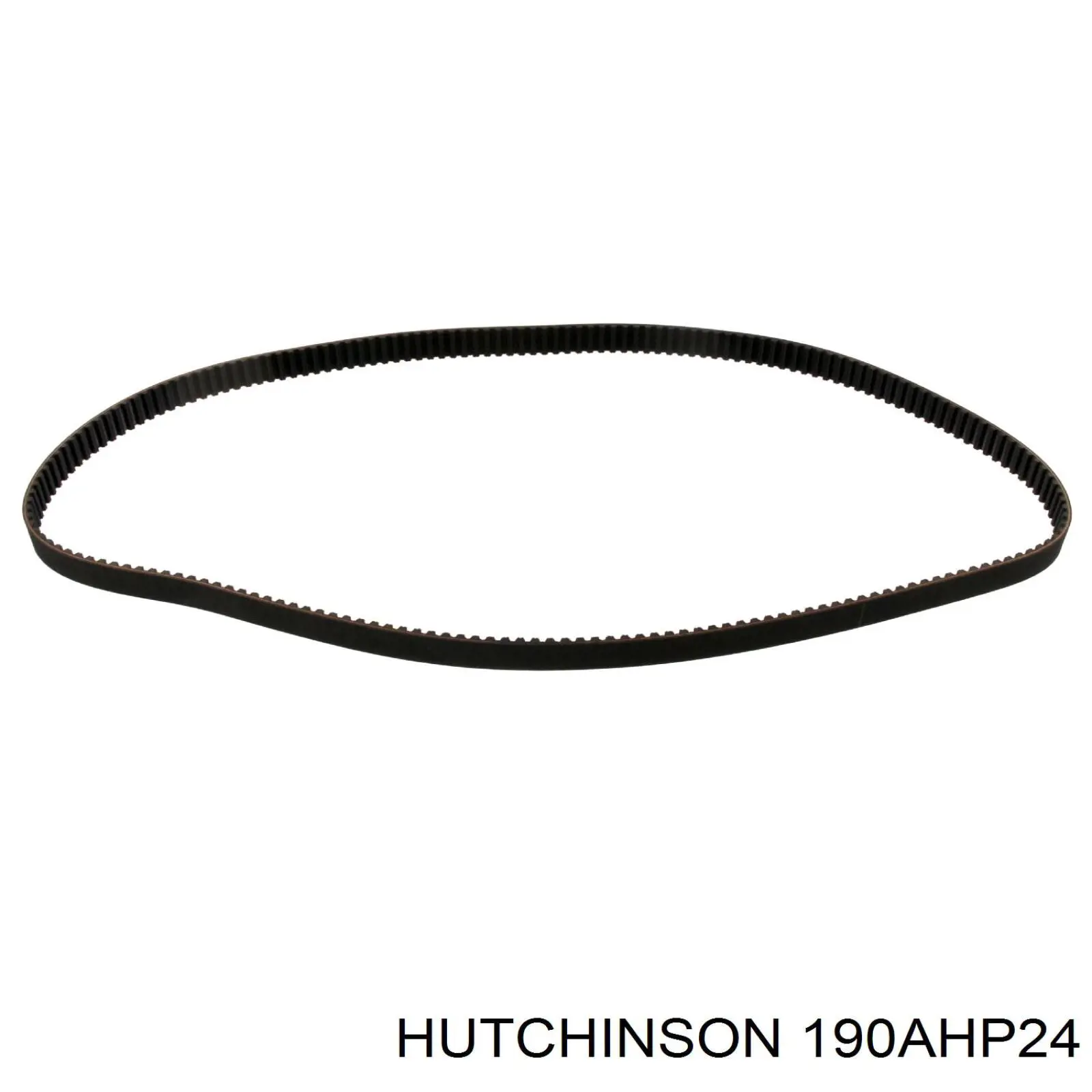 Compre 190AHP24 Hutchinson Correia do mecanismo de distribuição de gás