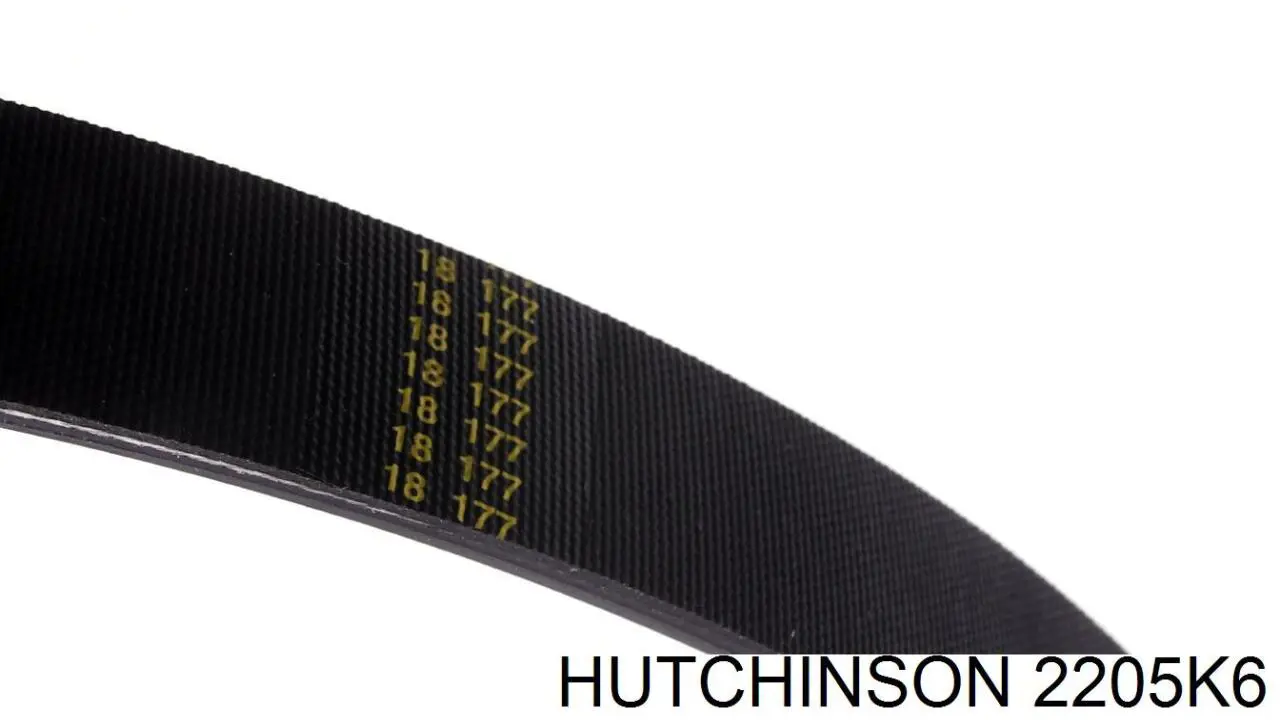 Compre 2205K6 Hutchinson Correia dos conjuntos de transmissão