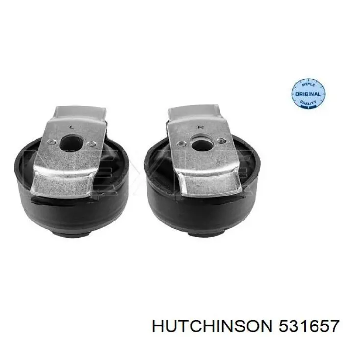Compre 531657 Hutchinson Bloco silencioso de viga traseira (de plataforma veicular)