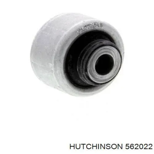 Compre 562022 Hutchinson Bloco silencioso dianteiro do braço oscilante inferior