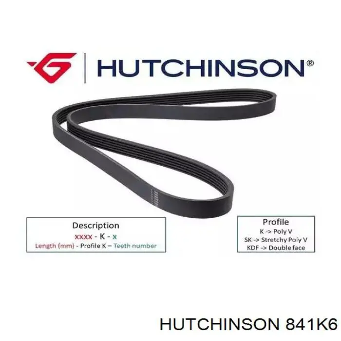 841K6 Hutchinson Correia dos conjuntos de transmissão
