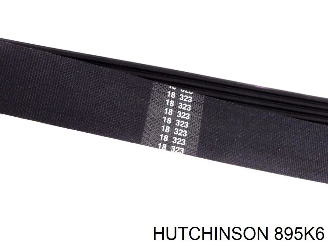 Compre 895K6 Hutchinson Correia dos conjuntos de transmissão