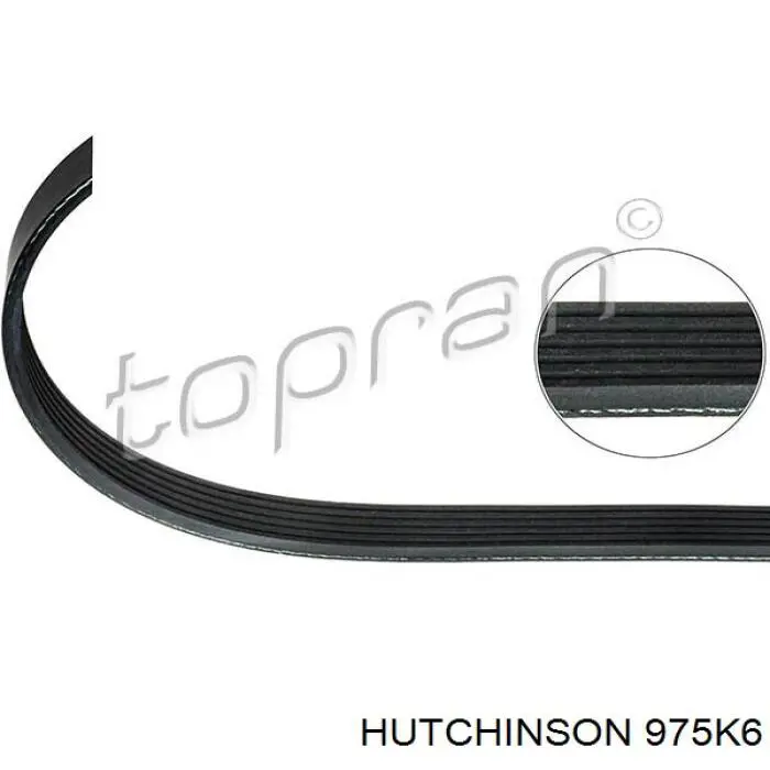 Correia dos conjuntos de transmissão Hutchinson 975K6 preço, a partir de 15,41 USD
