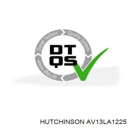 Correia dos conjuntos de transmissão Hutchinson AV13LA1225