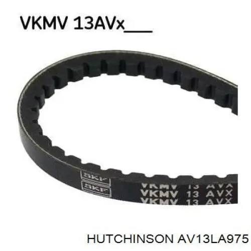 Correia dos conjuntos de transmissão AV13LA975 Hutchinson