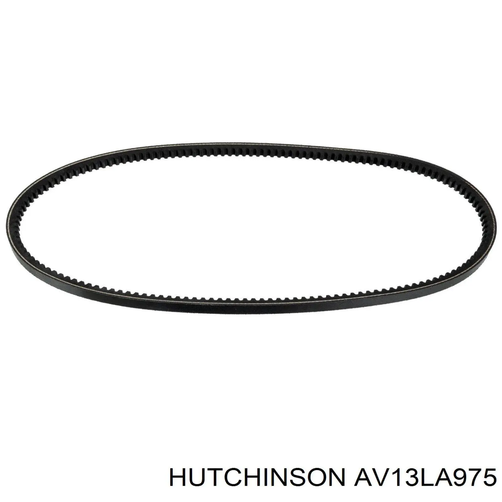 AV13LA975 Hutchinson Correia dos conjuntos de transmissão