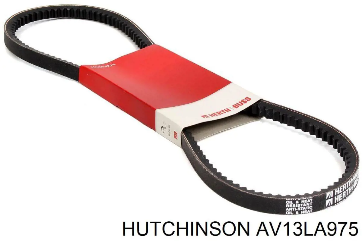 Compre AV13LA975 Hutchinson Correia dos conjuntos de transmissão