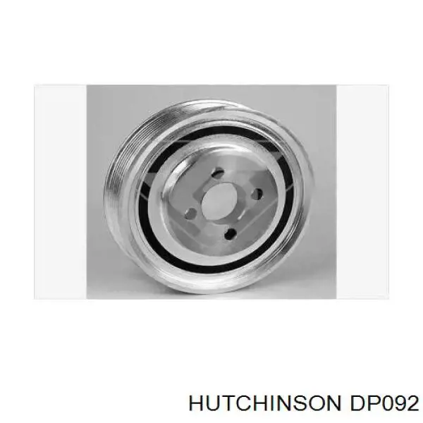 Compre DP092 Hutchinson Polia de cambota