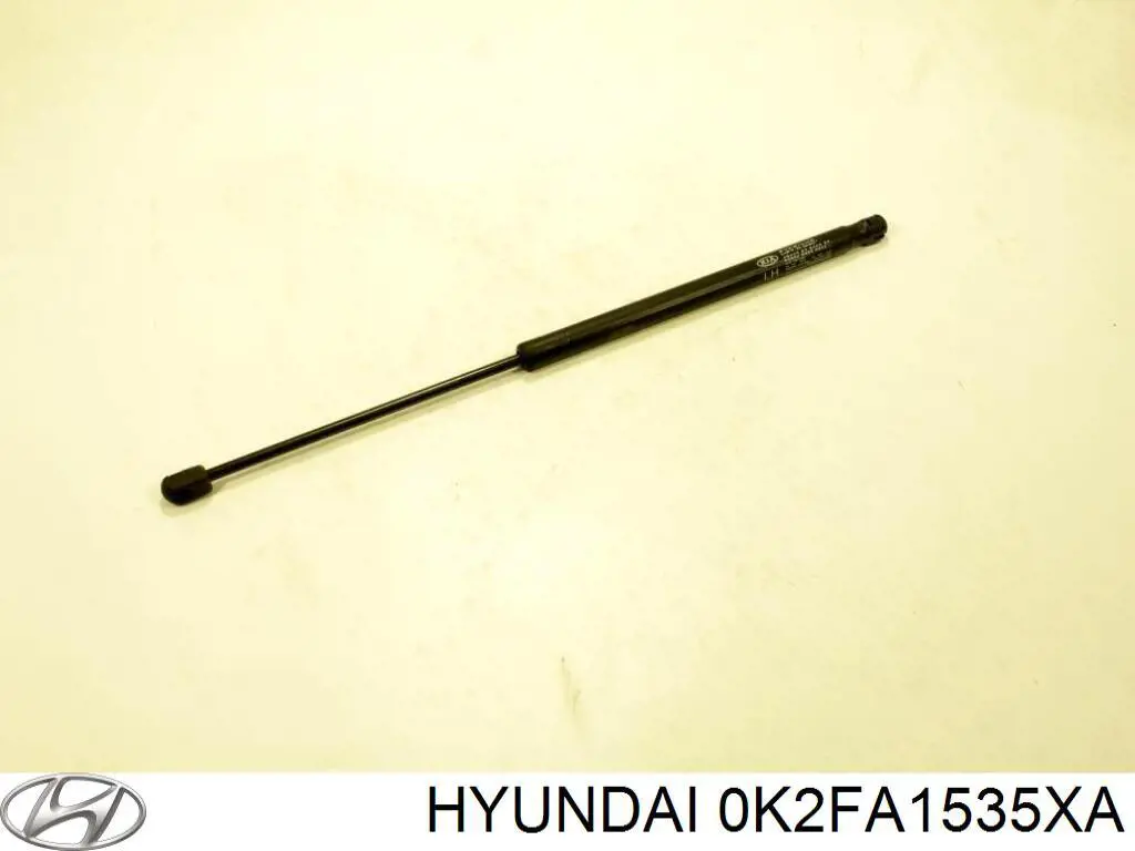 Tanque de expansão do sistema de esfriamento para KIA Carens I FJ