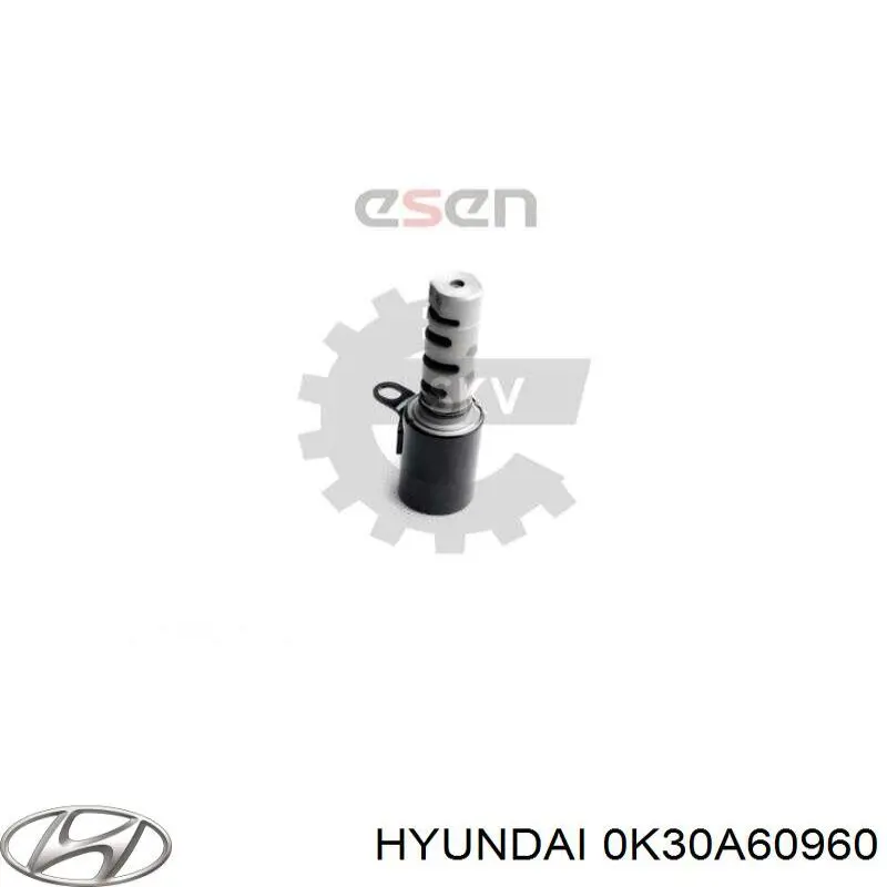 Sensor do nível de combustível no tanque Hyundai/Kia 0K30A60960 preço, a partir de  USD