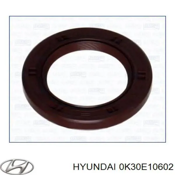 0K30E10602 Hyundai/Kia Vedação da árvore distribuidora de motor