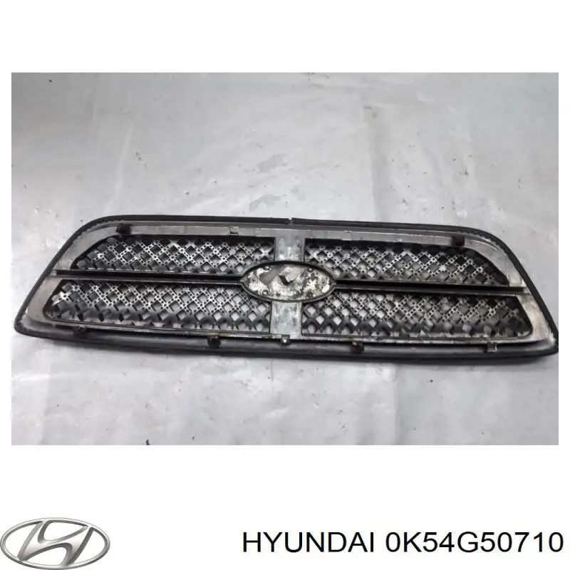 Grelha do radiador para KIA Carnival II GQ