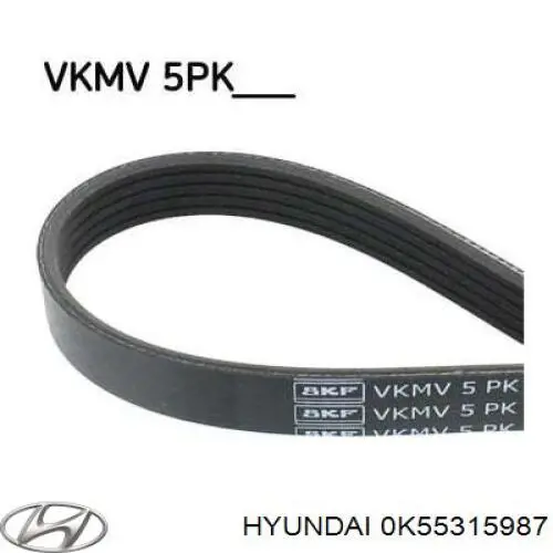 Correia dos conjuntos de transmissão Hyundai/Kia 0K55315987 preço, a partir de 18,91 USD