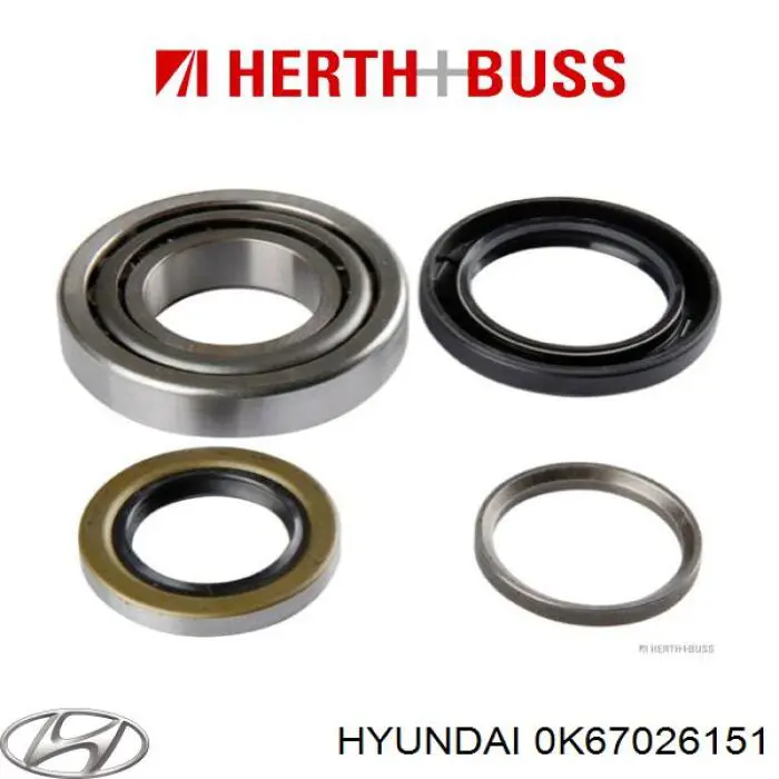Rolamento de cubo traseiro 0K67026151 Hyundai/Kia