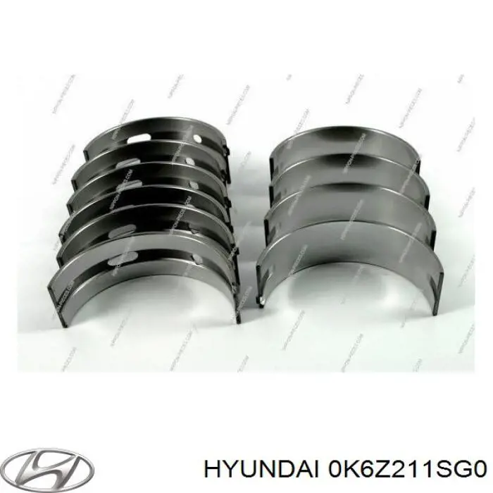 210204X910 Hyundai/Kia Folhas inseridas principais de cambota, kit, padrão (STD)