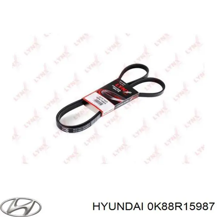 Correia dos conjuntos de transmissão Japan Parts DV5PK1697 preço, a partir de 35,58 USD