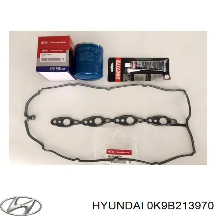 Compre 0K9B213970 Hyundai/Kia Adsorvedor dos vapores de combustível