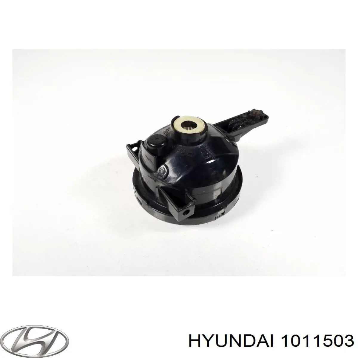 1011503 Hyundai/Kia 