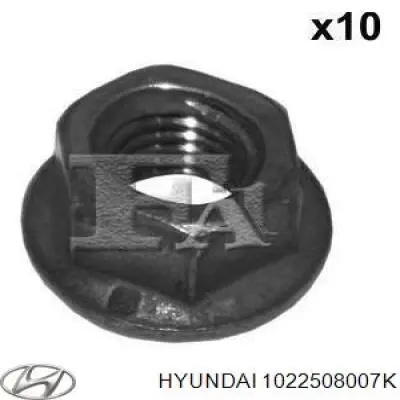 Compre 1022508007K Hyundai/Kia Porca de fixação de tubo de admissão do silenciador (de calças)