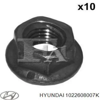 1022608007K Hyundai/Kia 