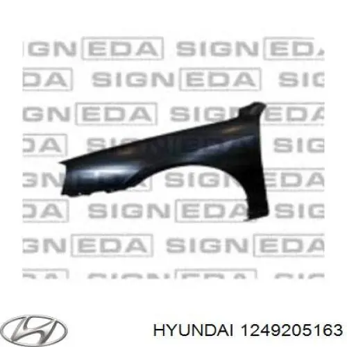1249205163 Hyundai/Kia 