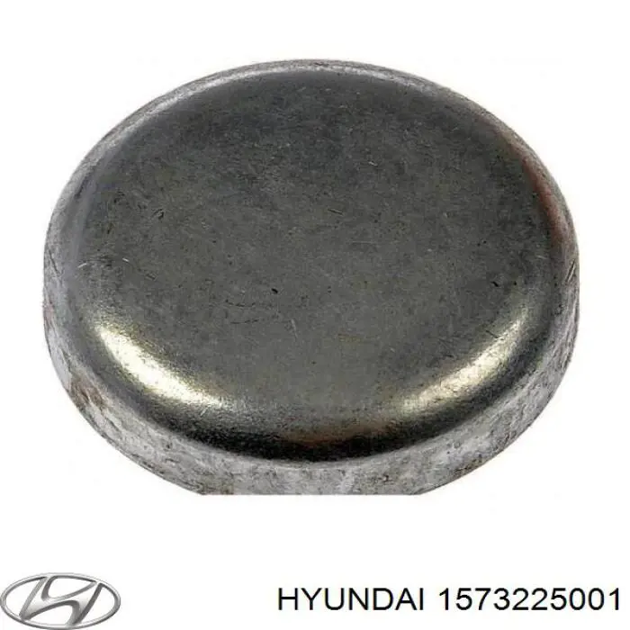 Tampão CBC/do bloco de cilindros Hyundai/Kia 1573225001 preço, a partir de  USD