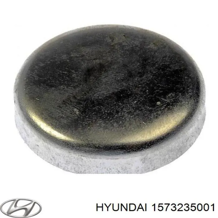 Tampão CBC/do bloco de cilindros Hyundai Sonata IV EU4