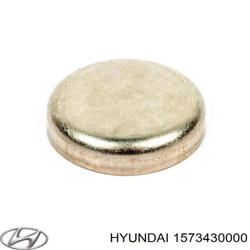Tampão CBC/do bloco de cilindros Hyundai/Kia 1573230001 preço, a partir de 3,28 USD