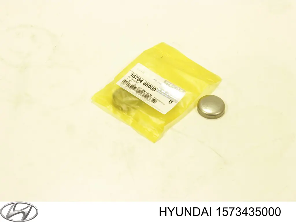 1573435000 Hyundai/Kia Tampão CBC/do bloco de cilindros