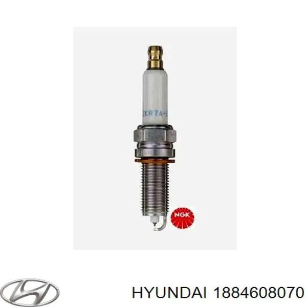 Compre 1884608070 Hyundai/Kia Vela de ignição