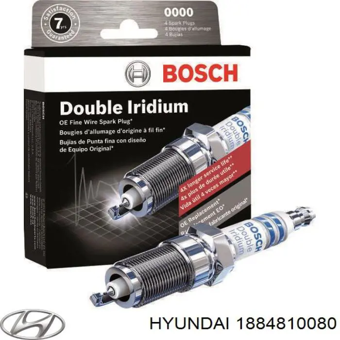 Compre 1884810080 Hyundai/Kia Vela de ignição