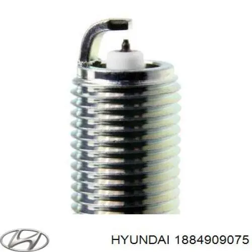 Compre 1884909075 Hyundai/Kia Vela de ignição