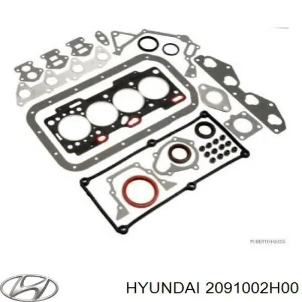 Compre 2091002H00 Hyundai/Kia Kit de vedantes de motor completo
