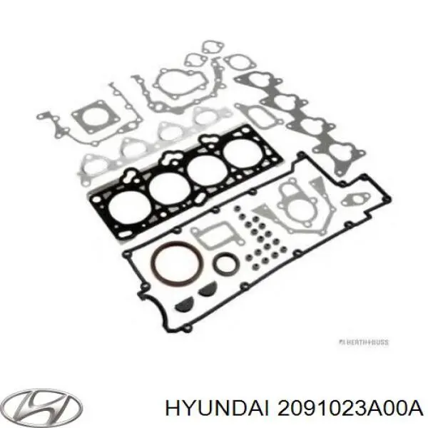 Compre 2091023A00 Hyundai/Kia Kit de vedantes de motor completo