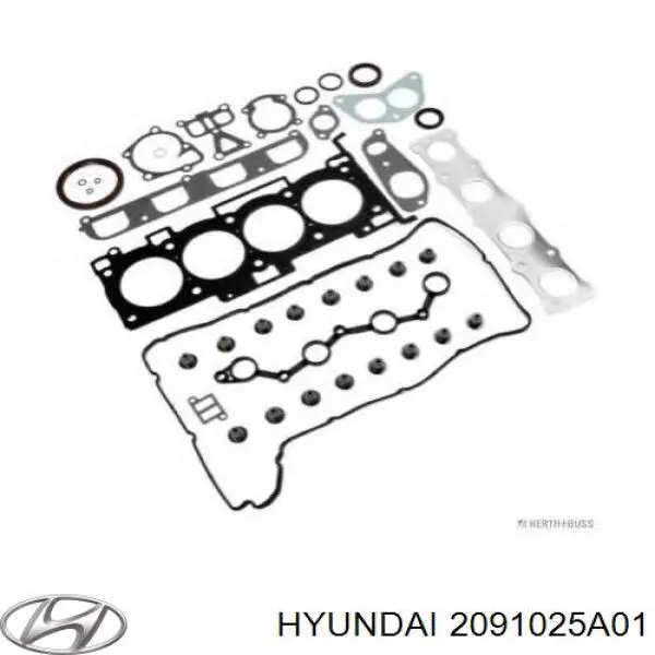 2091025A01 Hyundai/Kia Kit de vedantes de motor completo