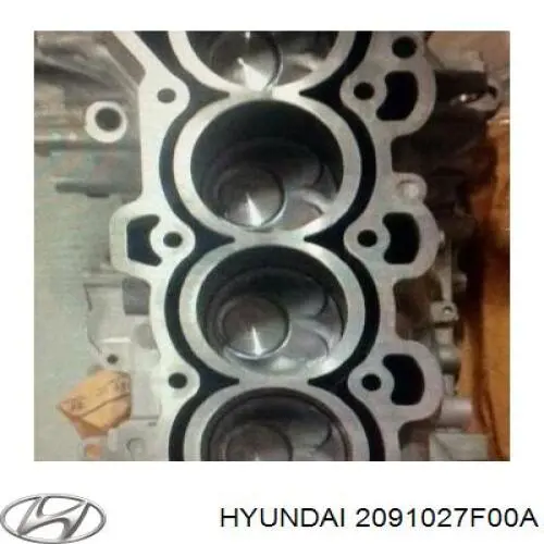 Compre 2091027F00A Hyundai/Kia Kit de vedantes de motor completo