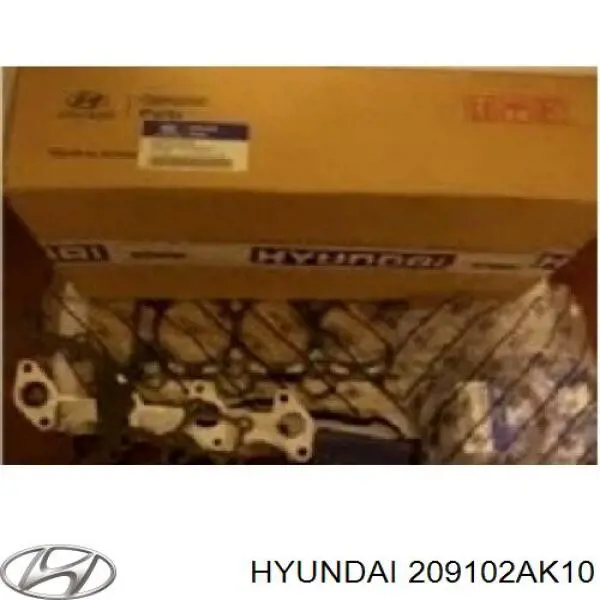 209102AK10 Hyundai/Kia Kit de vedantes de motor completo