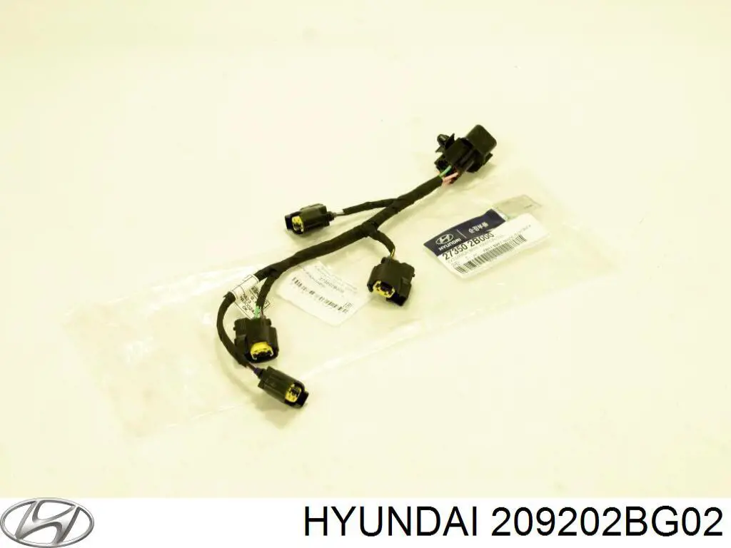 209202BG02 Hyundai/Kia Kit superior de vedantes de motor
