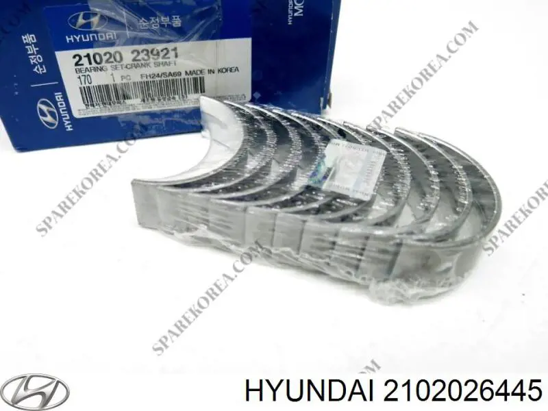 2102026240 Hyundai/Kia Folhas inseridas principais de cambota, kit, padrão (STD)