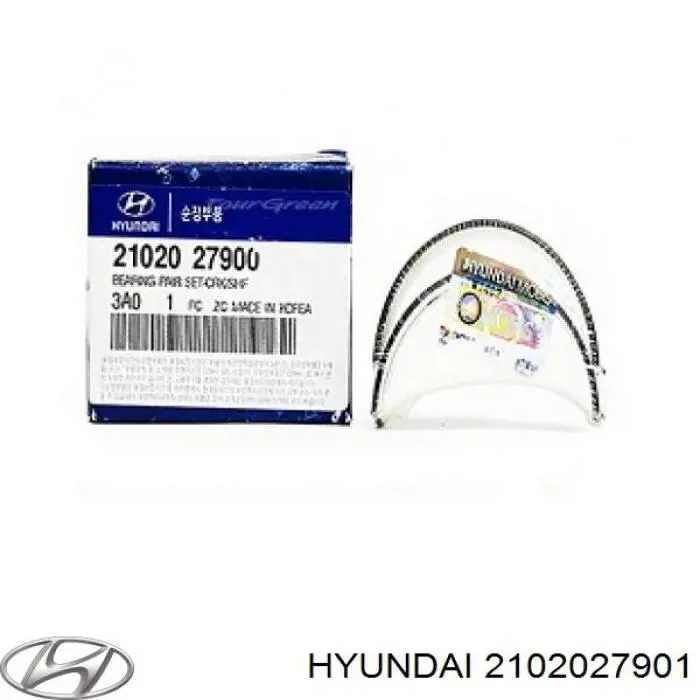 2102027901 Hyundai/Kia Folhas inseridas principais de cambota, kit, padrão (STD)