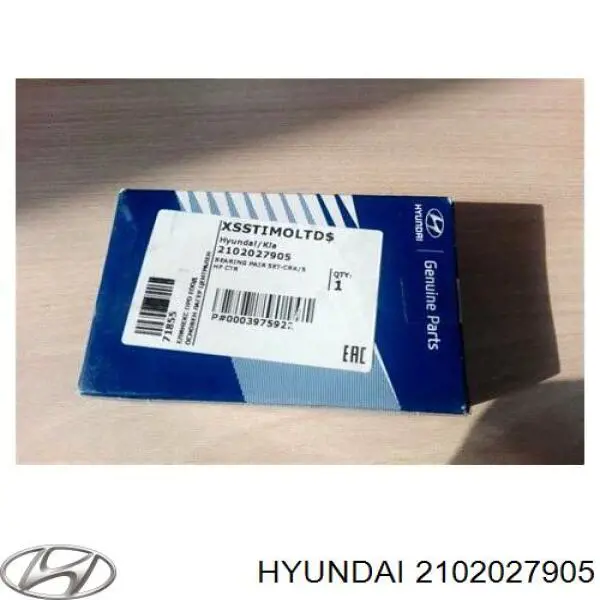 Compre 2102027905 Hyundai/Kia Folhas inseridas principais de cambota, kit, padrão (STD)