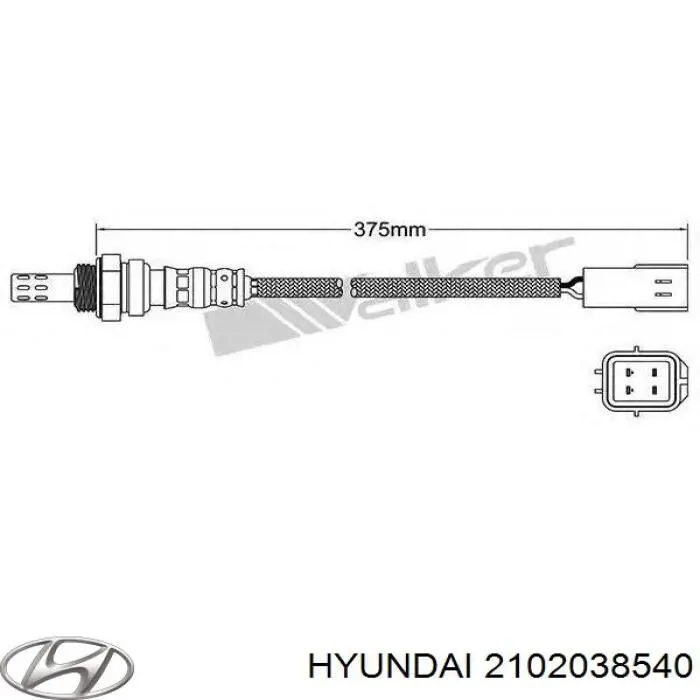 2102038540 Hyundai/Kia Folhas inseridas principais de cambota, kit, padrão (STD)