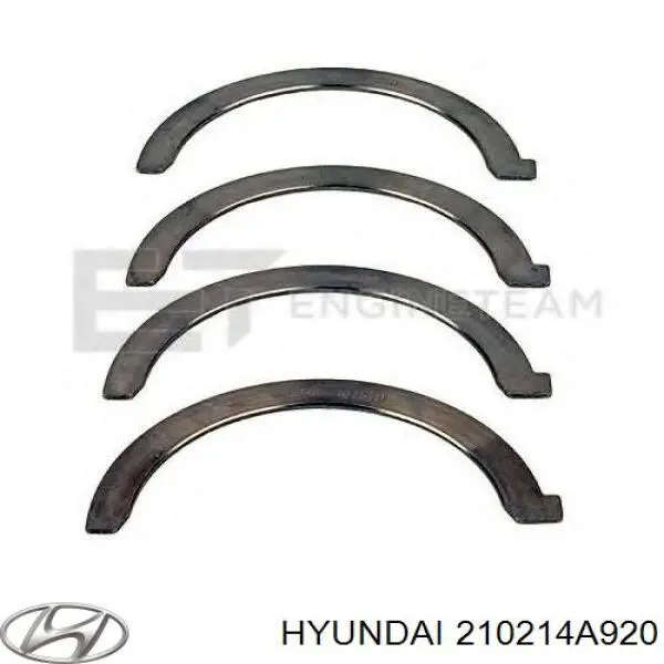 210214A920 Hyundai/Kia Folhas inseridas principais de cambota, kit, padrão (STD)