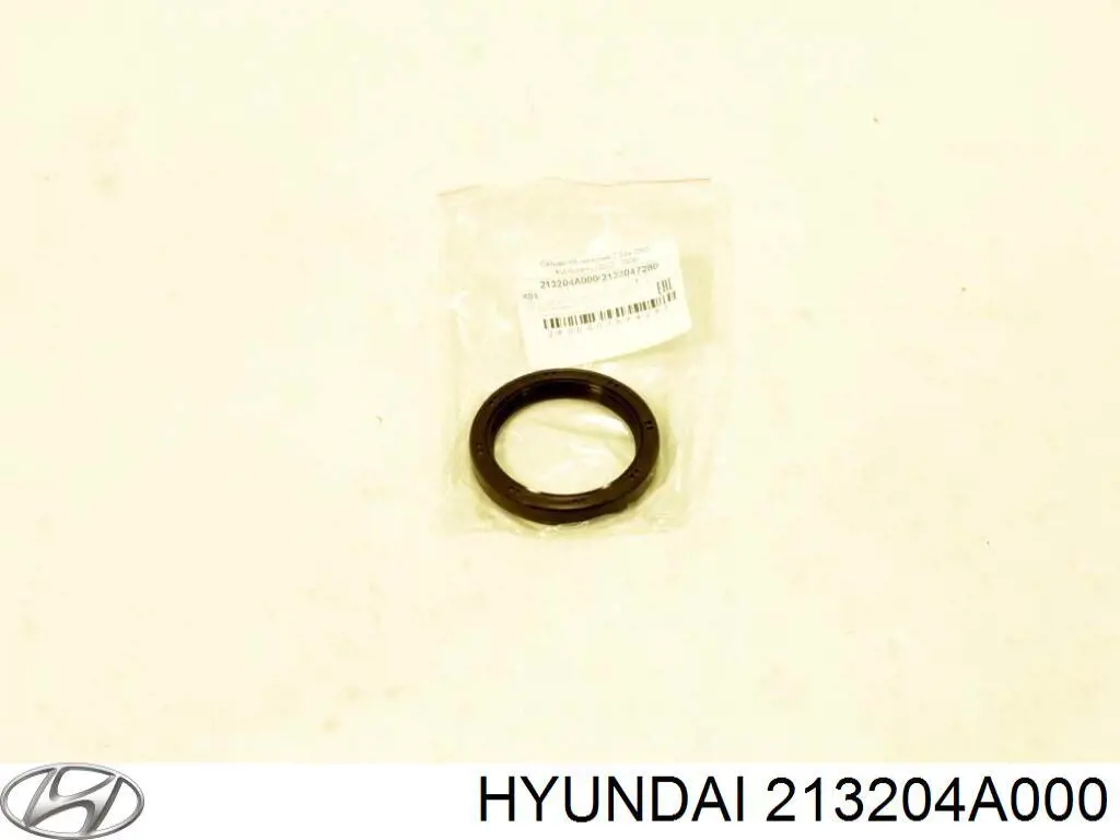 213204A000 Hyundai/Kia Vedação dianteira de cambota de motor