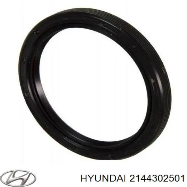 2144302501 Hyundai/Kia Vedação traseira de cambota de motor
