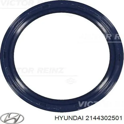 Vedação traseira de cambota de motor Hyundai/Kia 2144302501 preço, a partir de 9,52 USD