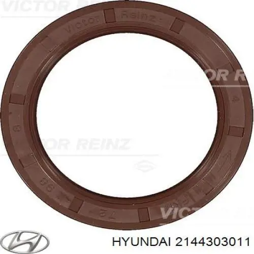 2144303011 Hyundai/Kia Vedação traseira de cambota de motor