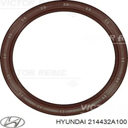 Vedação traseira de cambota de motor Hyundai/Kia 214432A100 preço, a partir de 5,43 USD