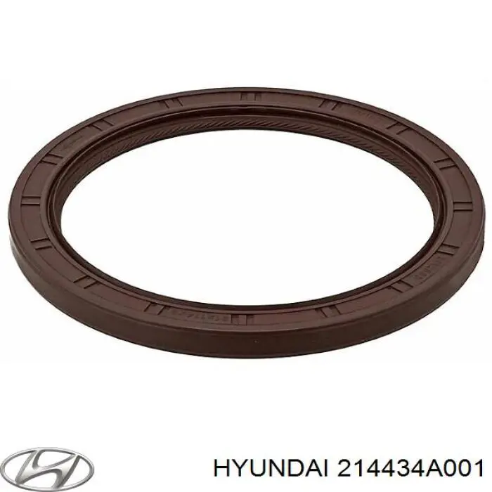 Vedação traseira de cambota de motor Hyundai/Kia 214434A001 preço, a partir de 16,14 USD
