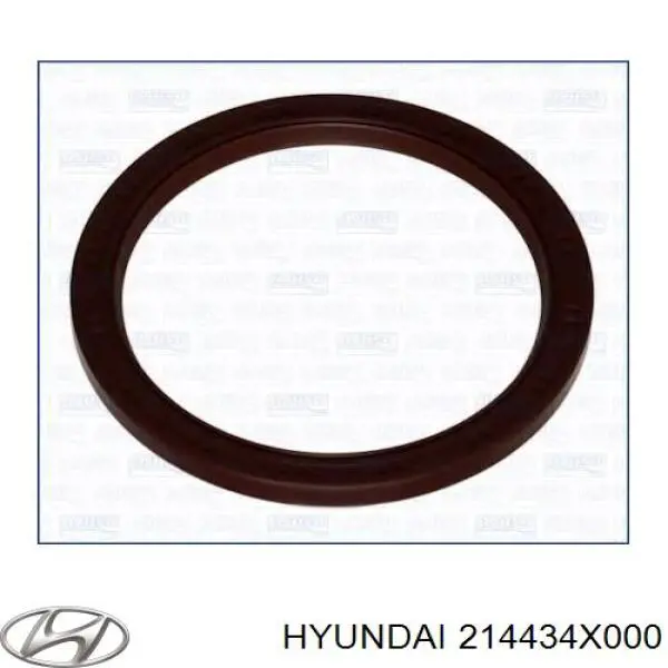 214434X000 Hyundai/Kia Vedação traseira de cambota de motor
